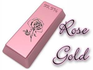RS logo